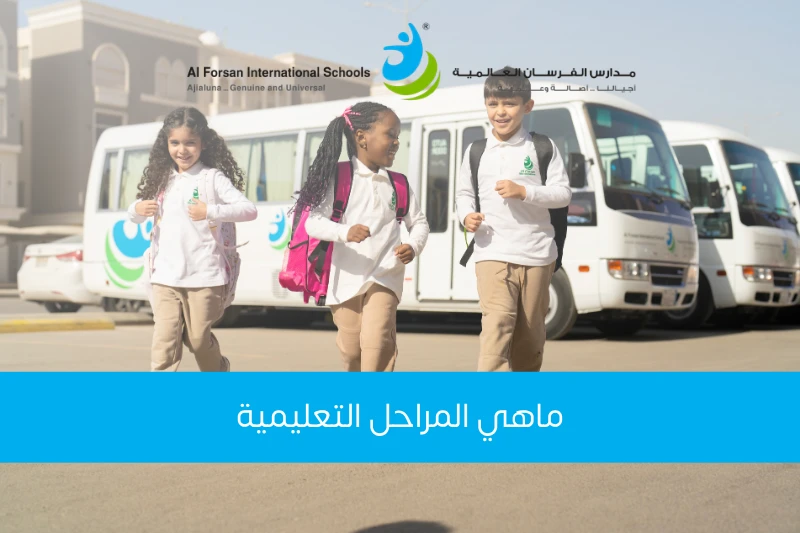 ما هي المراحل التعليمية